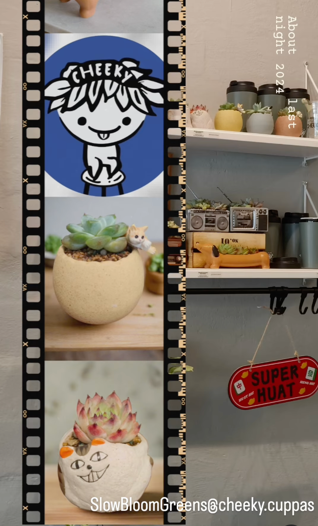 Cheeky Cafe Succulents