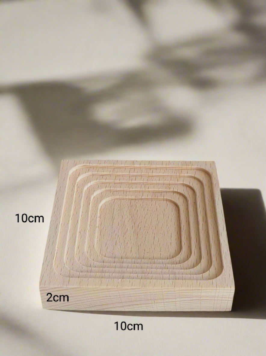 Succulent Harmony Grey - Echeveria Elegans - SlowBloomGreens