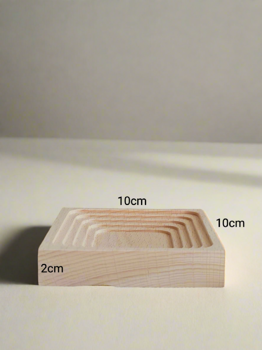 Succulent Harmony Grey - Echeveria Elegans - SlowBloomGreens