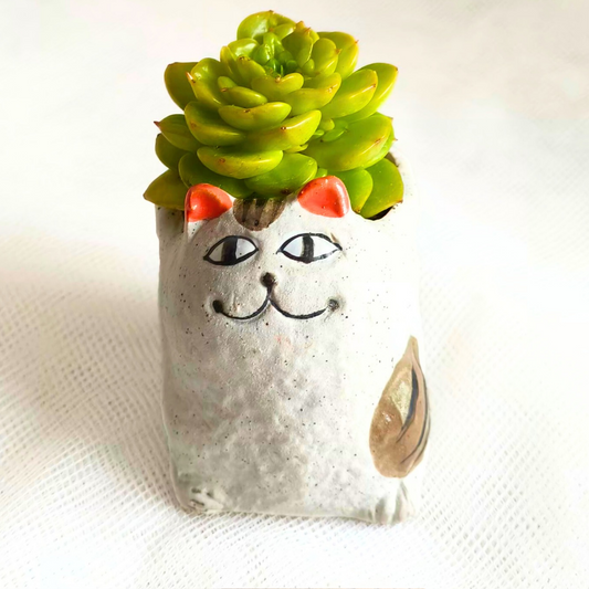 Succulent Cat Planter, Felix