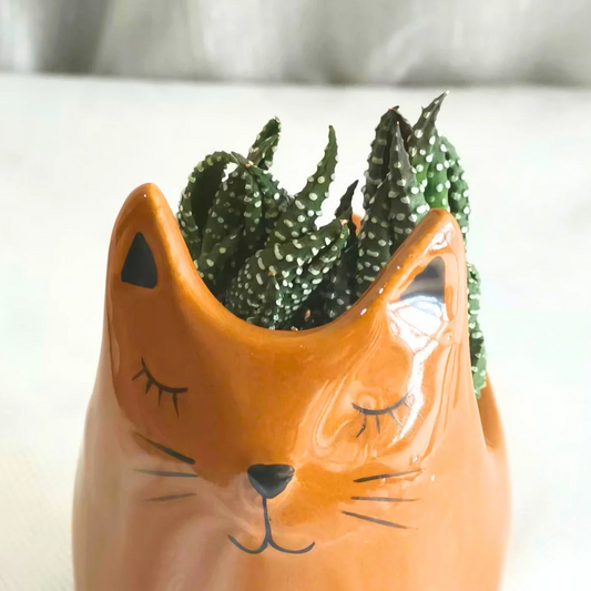 Succulent Cat Planter, Cathy