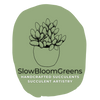 Succulent Plants for Sale at SlowBloomGreens
