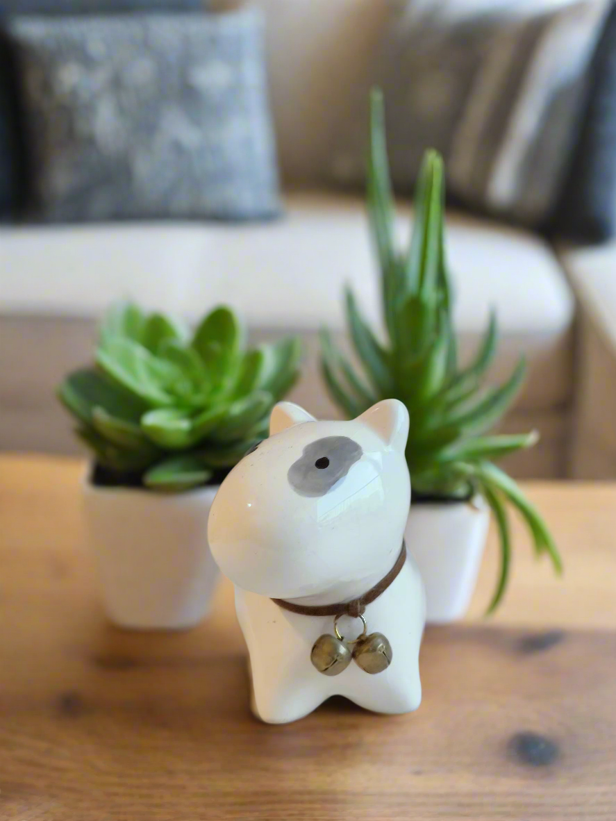 Succulent Puppy Bull Terrier adding joy to home decor