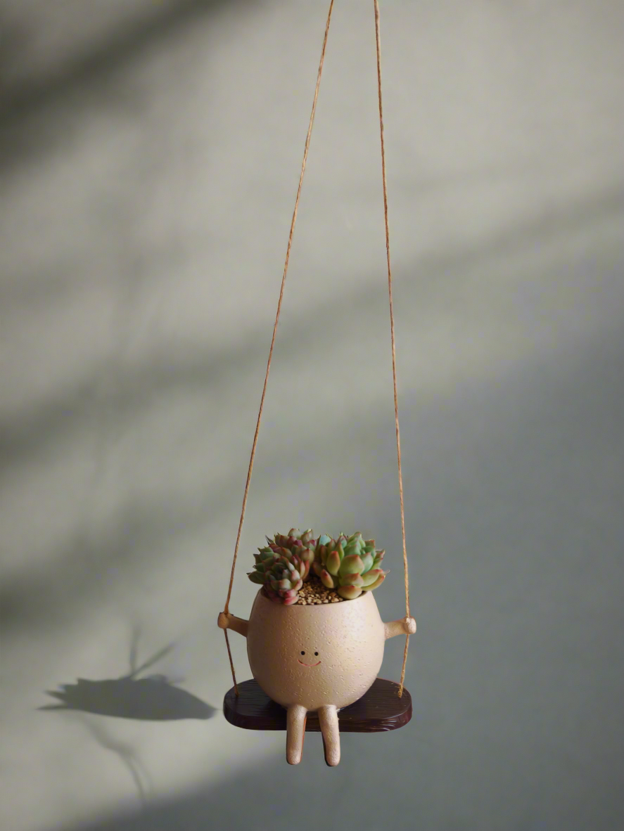 Succulent Hanging Joy Planter – Echeveria Desert Rose