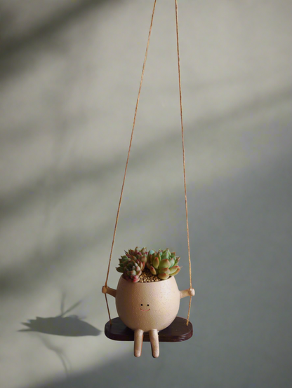 Succulent Hanging Joy Planter – Echeveria Desert Rose
