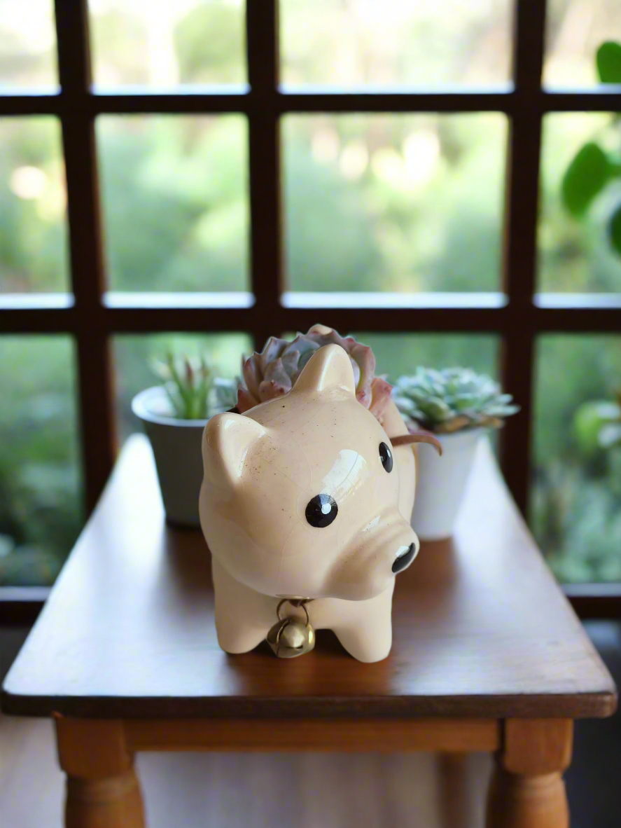 Succulent Puppy Shiba Inu - Echeveria Suryeon - SlowBloomGreens