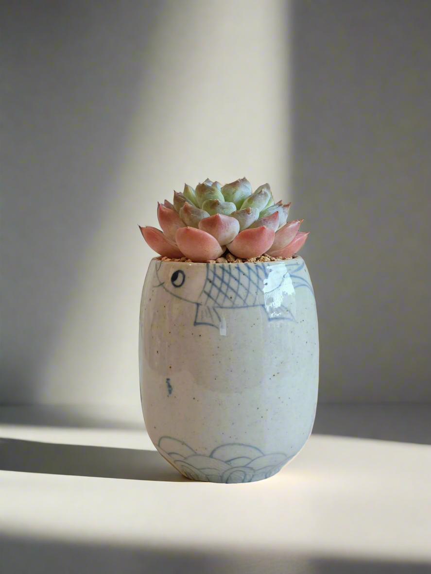 Cny - SlowBloomGreens