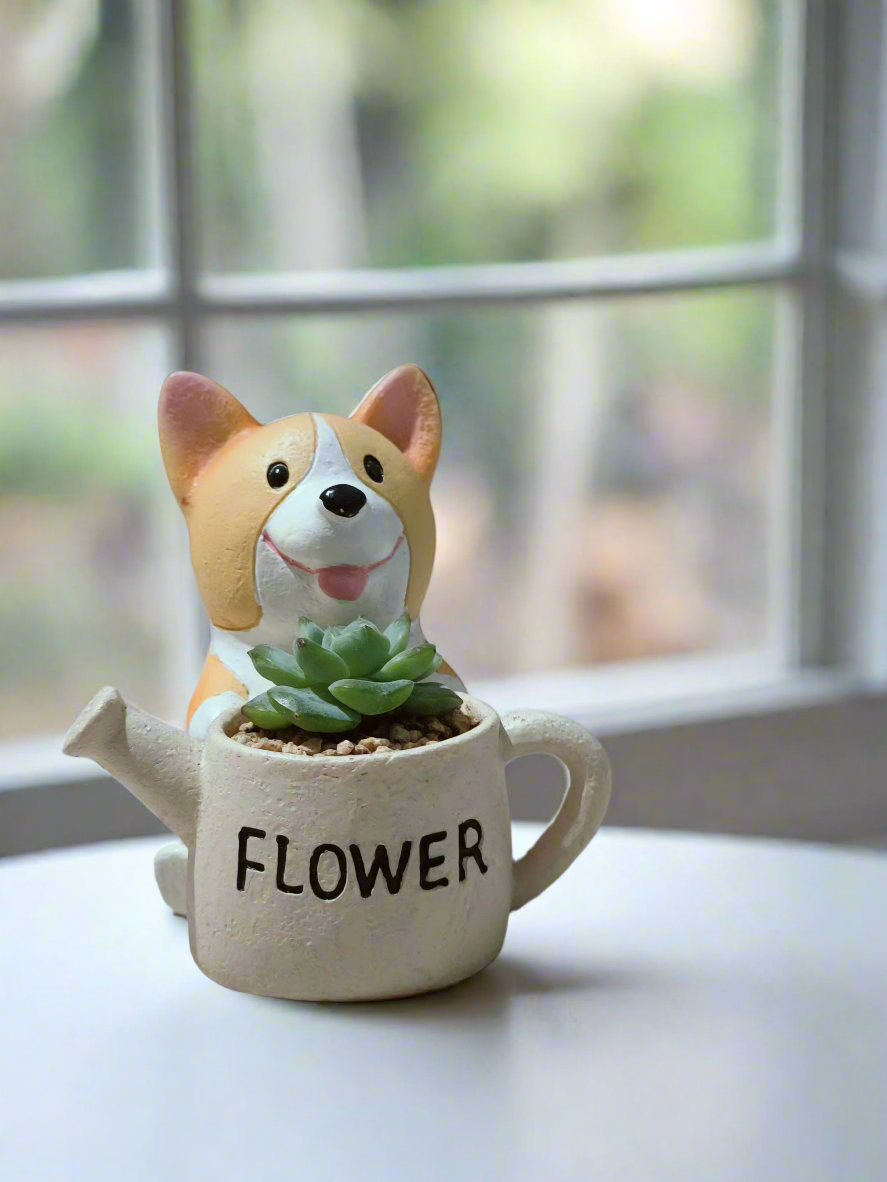 Succulent Charming Corgi - Echeveria Ice Green - SlowBloomGreens