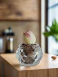 Succulent Round Bubble Glass - Mountain Rose - SlowBloomGreens