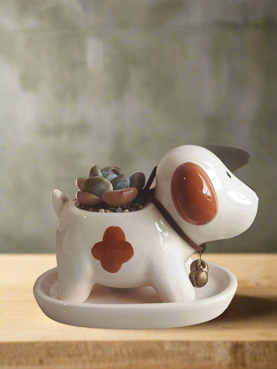 Succulent Puppy Jack Russell Terrier Planter - Echeveria Ice Green - SlowBloomGreens