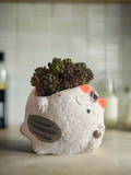 Succulent Sleeping Beauty Cat Planter - Sedum Rubrotinctum 'Redberry' - SlowBloomGreens