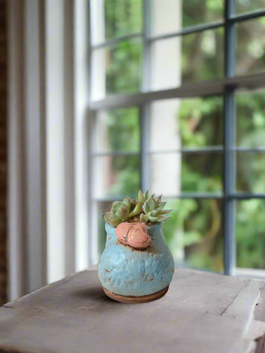 Succulent Mary Jane Charm Blue – Graptopetalum mendoza & Pachyveria pachyphytoides - SlowBloomGreens