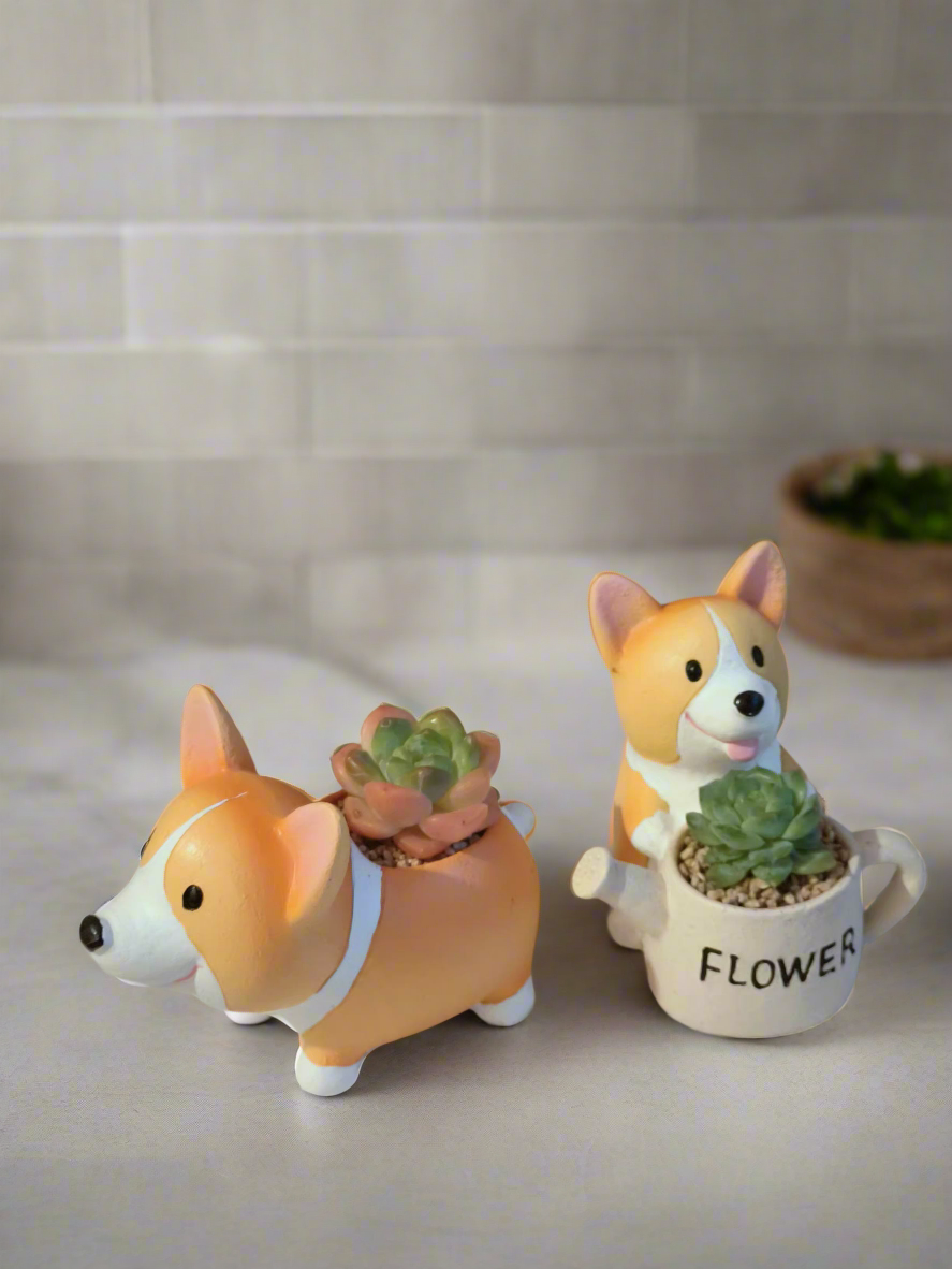 Succulent Charming Corgi Duo - Corgi Companions Gift Favors (10 pack)