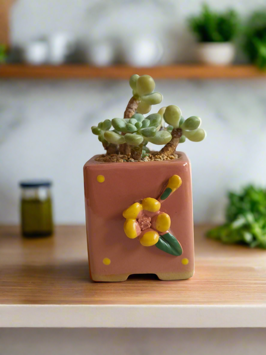 Succulent Floral Charm Pink – Tiscalatengo Gorge Sedum - SlowBloomGreens