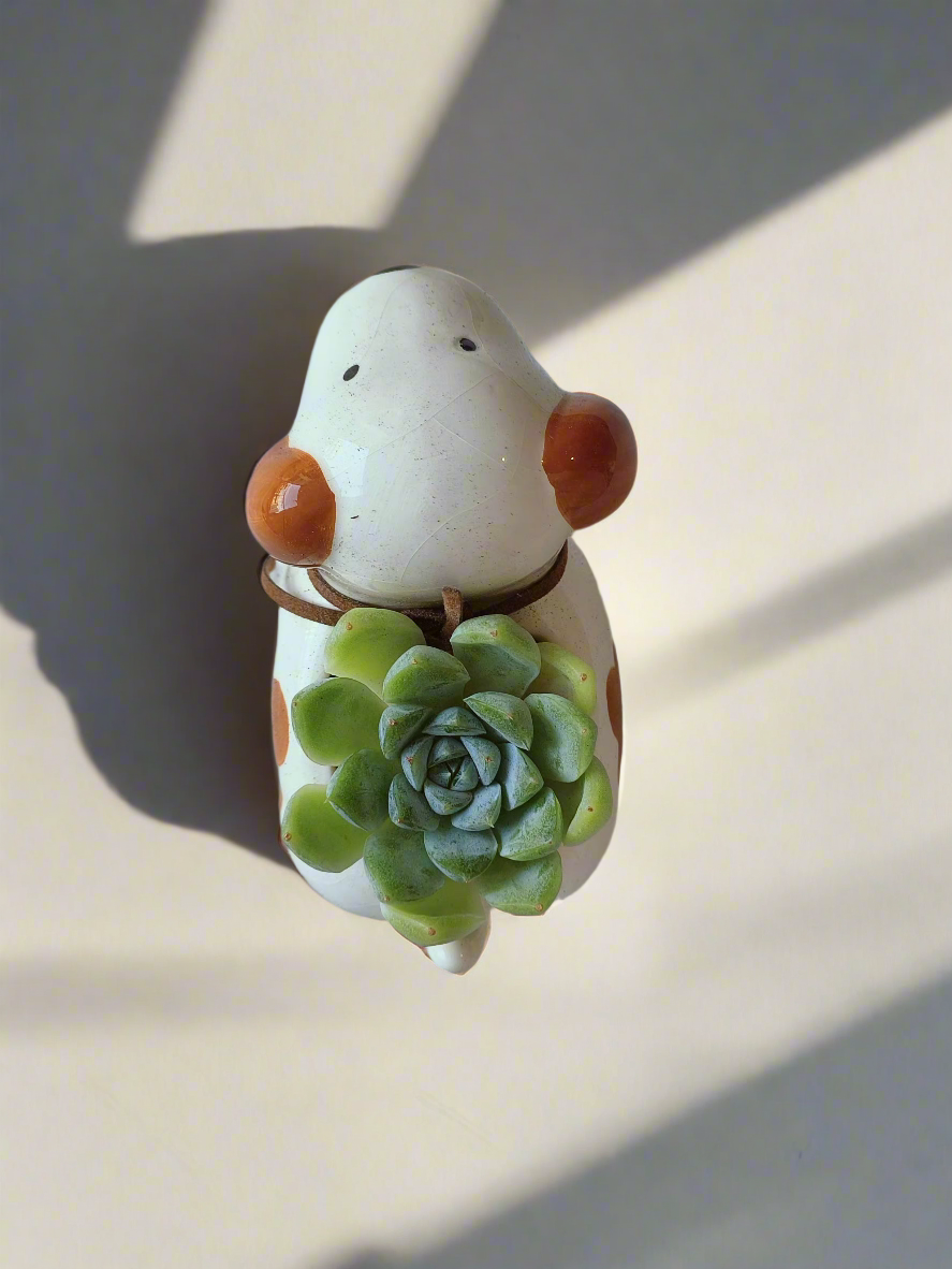 Succulent Puppy Jack Russell Terrier Pot - Echeveria Ice Green - SlowBloomGreens