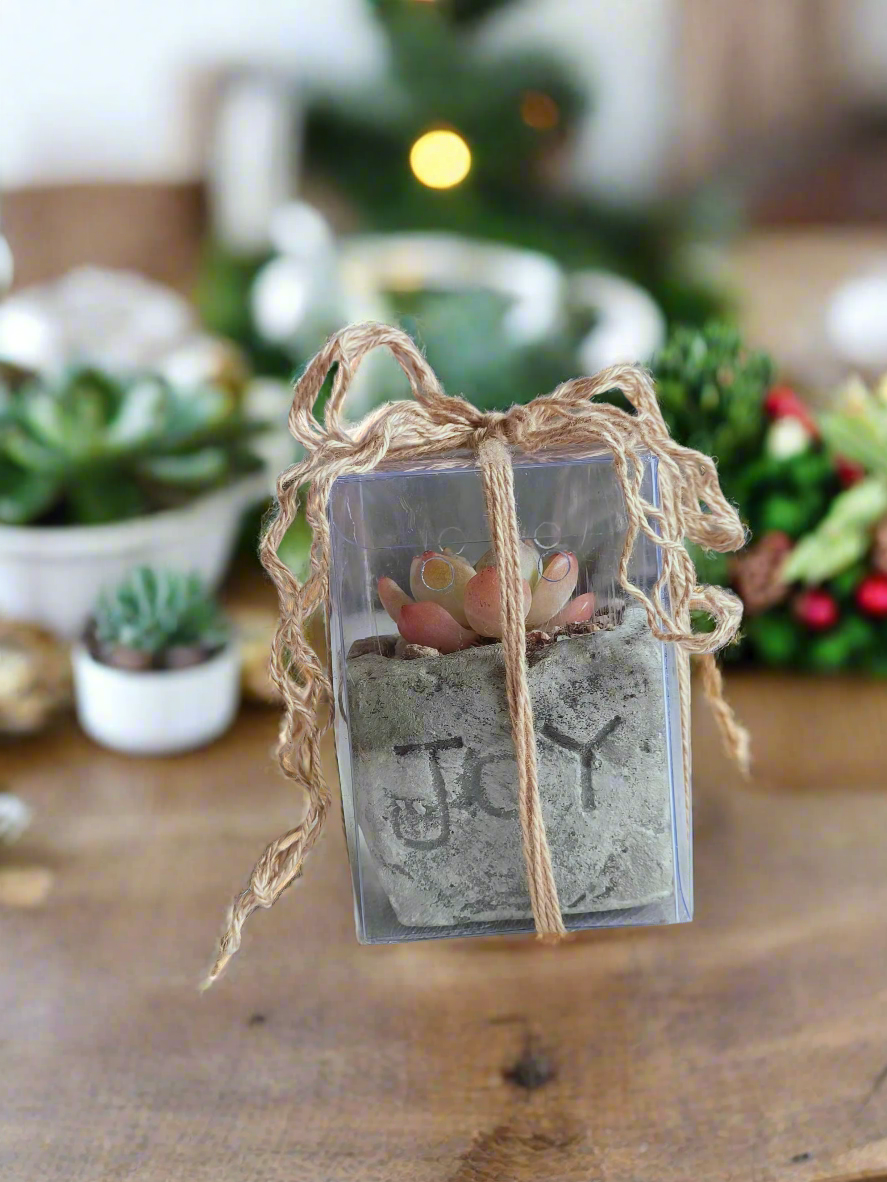 Succulent Simply Joy – Gift Favors heart-shaped planter adds a rustic yet festive touch to holiday celebrations or parties.