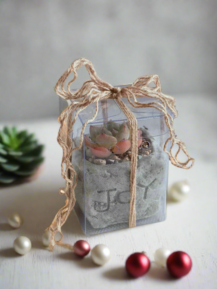 Succulent Simply Joy – Gift Favors heart-shaped planter adds a rustic yet festive touch to holiday celebrations or parties.