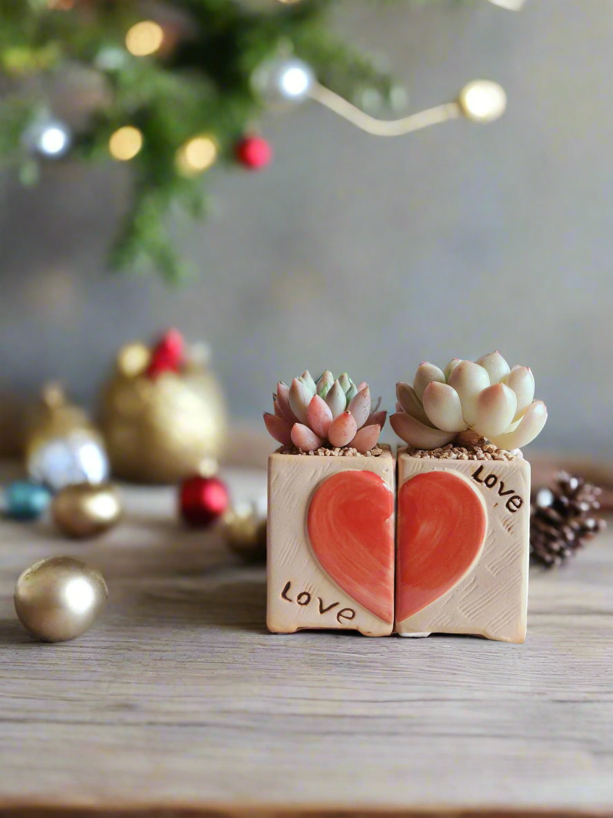 Succulent Heart Duo – The Perfect Gift of Love and Growth - SlowBloomGreens