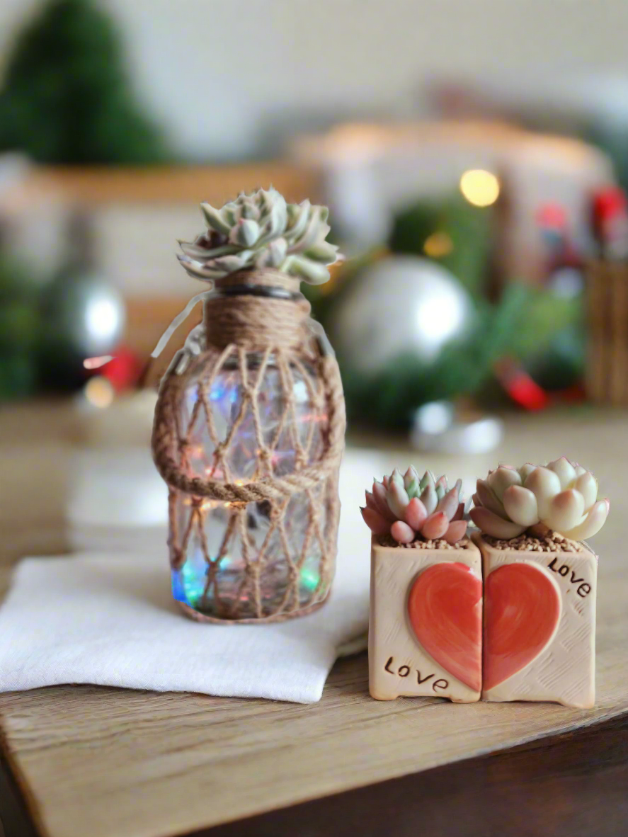 Succulent Heart Duo – The Perfect Gift of Love and Growth - SlowBloomGreens