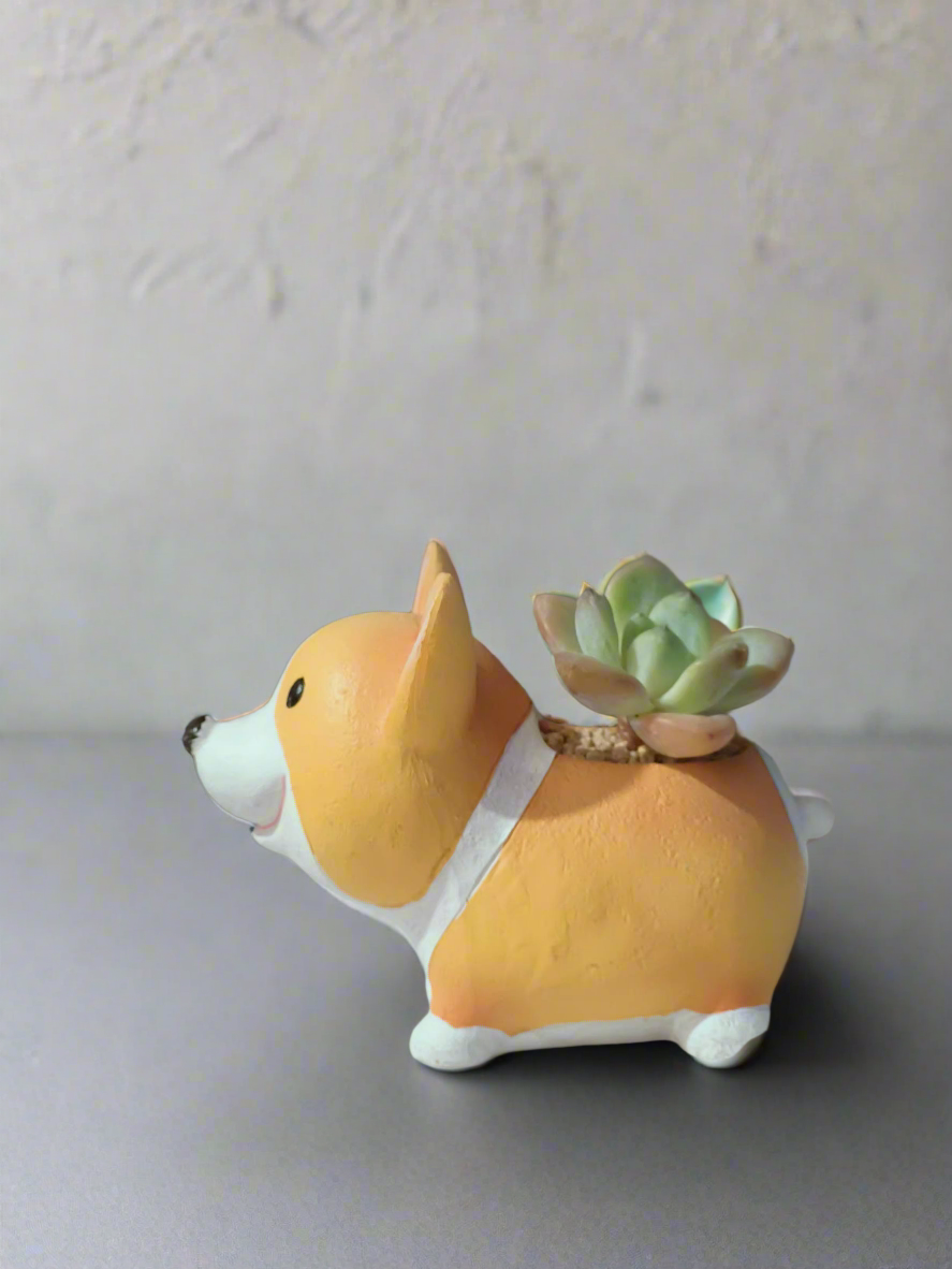 Succulent Standing Charming Corgi featuring Echeveria Ice Green