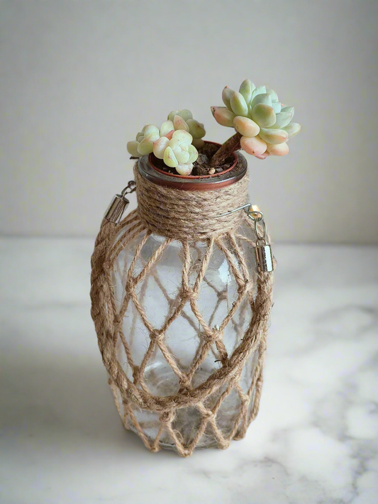 Succulent Retro Hemp Rope Vase – Echeveria Ice Green