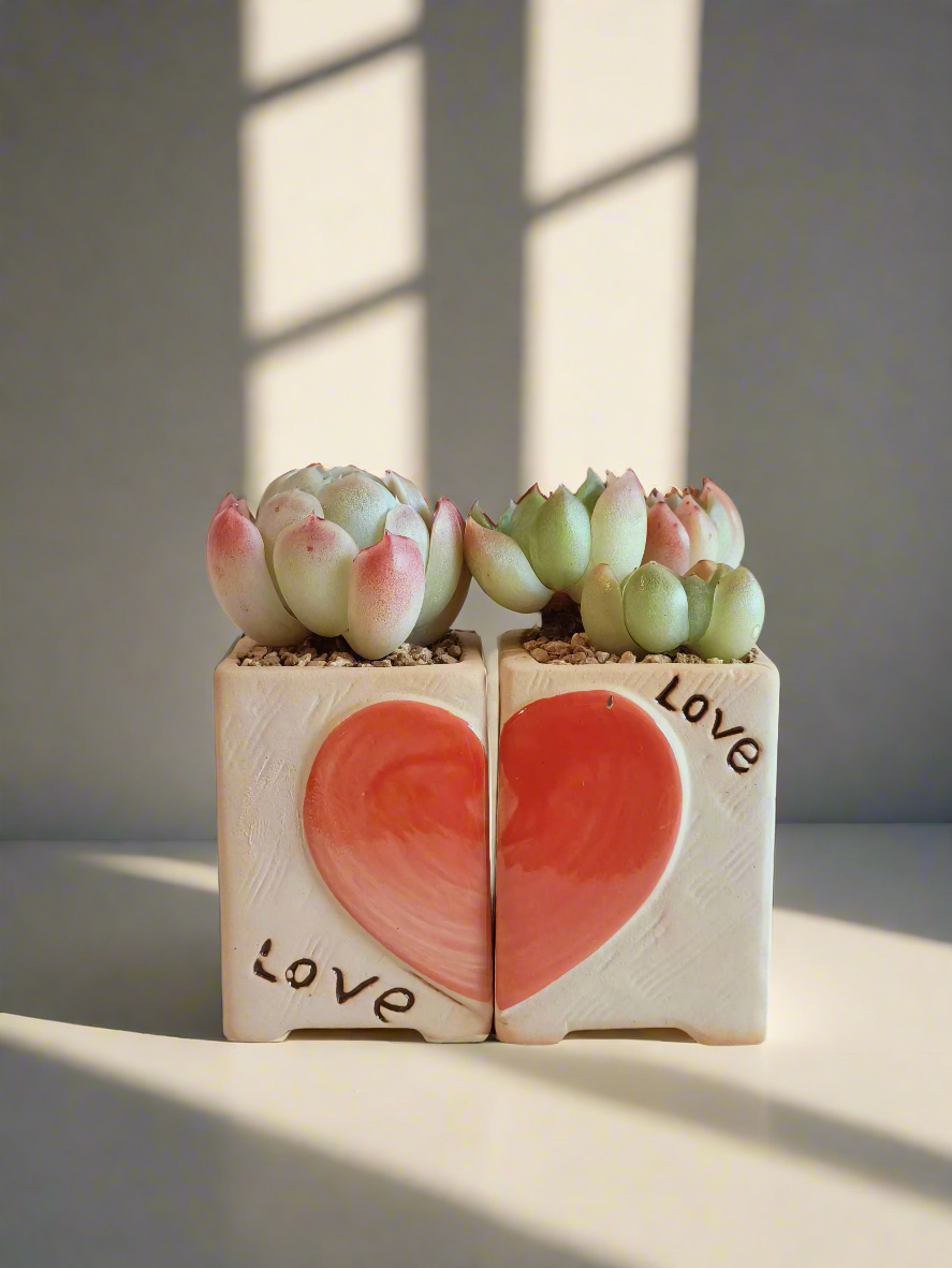 Cny - SlowBloomGreens