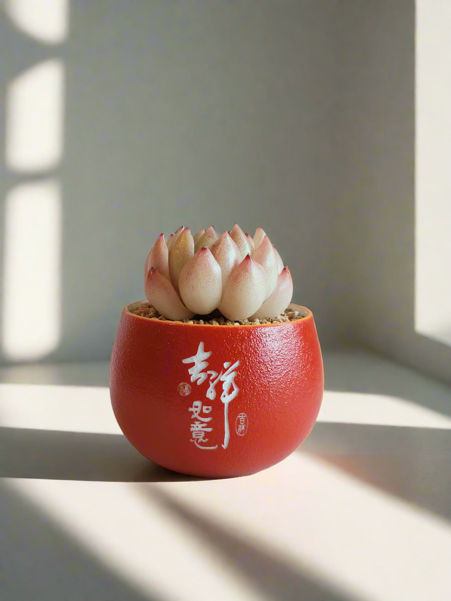 Cny - SlowBloomGreens