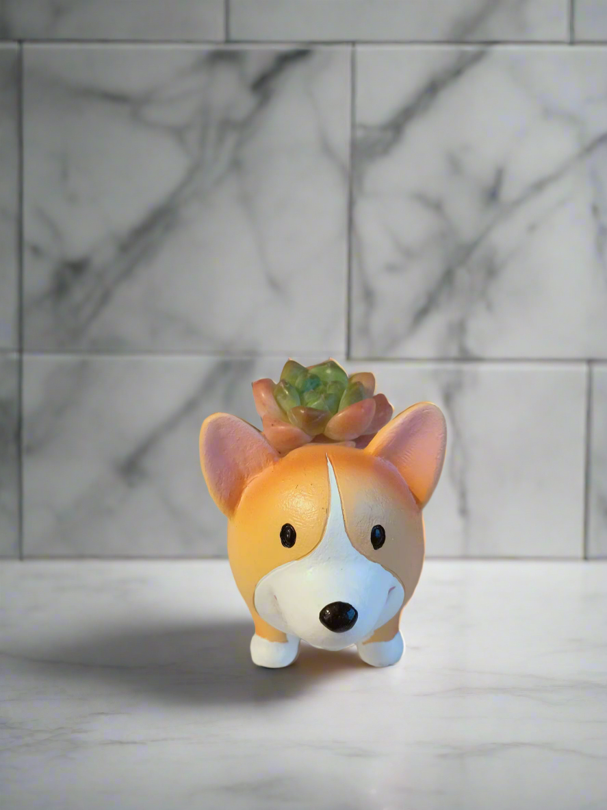 Succulent Charming Standing Corgi - Echeveria Suryeon with playful planter.