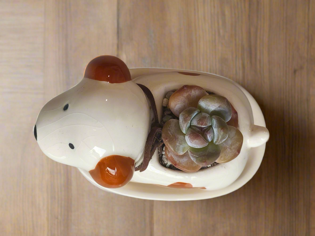 Succulent Puppy Jack Russell Terrier Planter - Echeveria Ice Green - SlowBloomGreens
