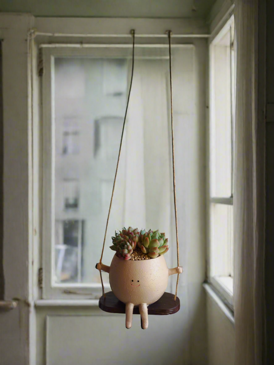 Succulent Hanging Joy Planter – Echeveria Desert Rose