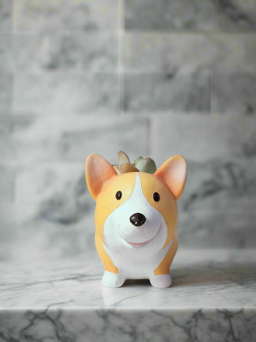 Unique Corgi planter filled with Echeveria Ice Green