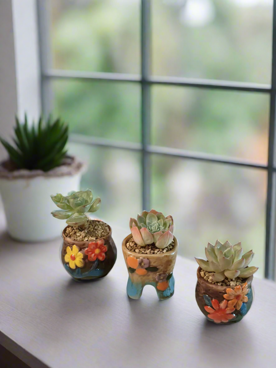 Succulent Floral Charm Trio – Echeveria 'Mont Blanc', 'Mexican Snowball', 'Agavoides'