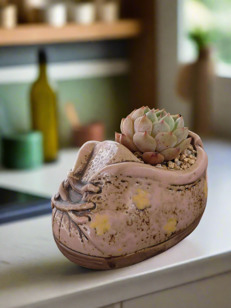 Succulent Laced-Up Soft Pink Charm Pot – Echeveria Elegans