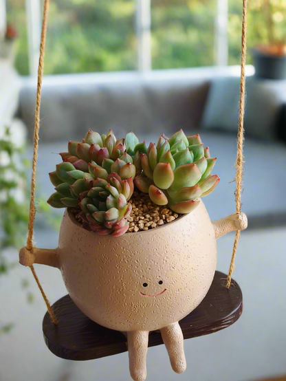 Succulent Hanging Joy Planter – Echeveria Desert Rose