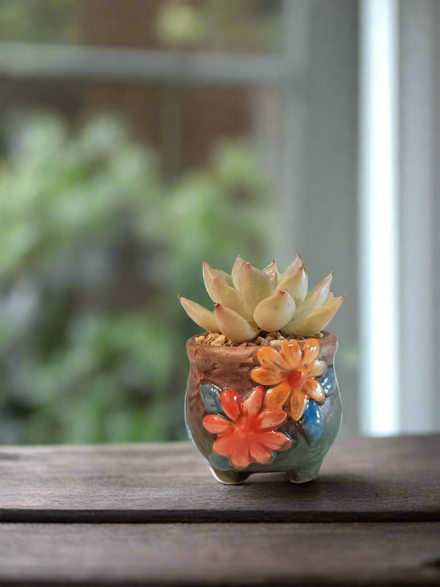 Succulent Floral Charm Trio – Echeveria 'Mont Blanc', 'Mexican Snowball', 'Agavoides'