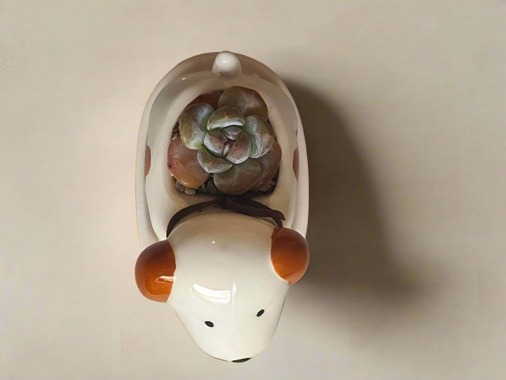 Succulent Puppy Jack Russell Terrier Planter - Echeveria Ice Green - SlowBloomGreens