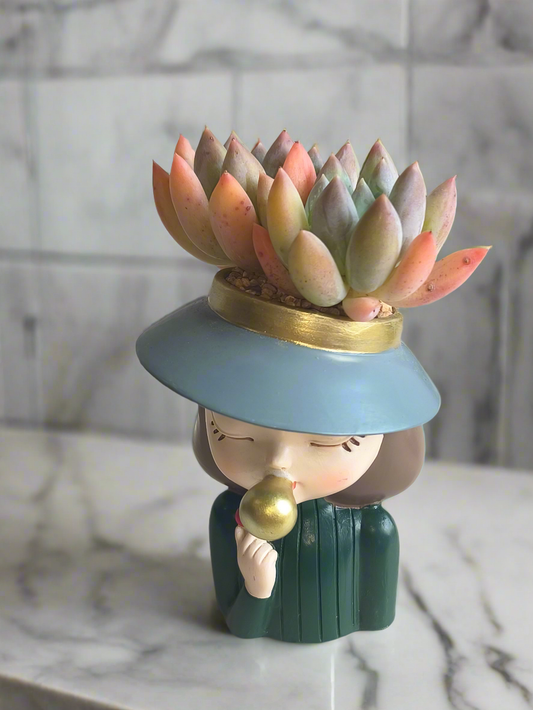Succulent Girl Planter – Blowing Love with Pachyphytum 'Sky Beauty'