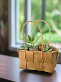Succulent Basket Bliss - Handcrafted Succulents