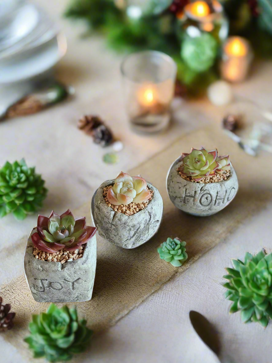 Succulent Simply Joy – Gift Favors arranged on a table, highlighting the charming rustic planters and vibrant succulents.
