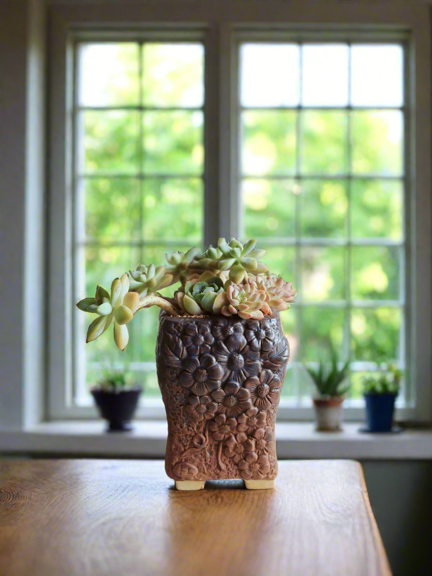 Succulent Rustic Floral Embossed Pot – Graptoselum Bronze, Fanfare 'Lovely Rose,' and Sedeveria Hummelii