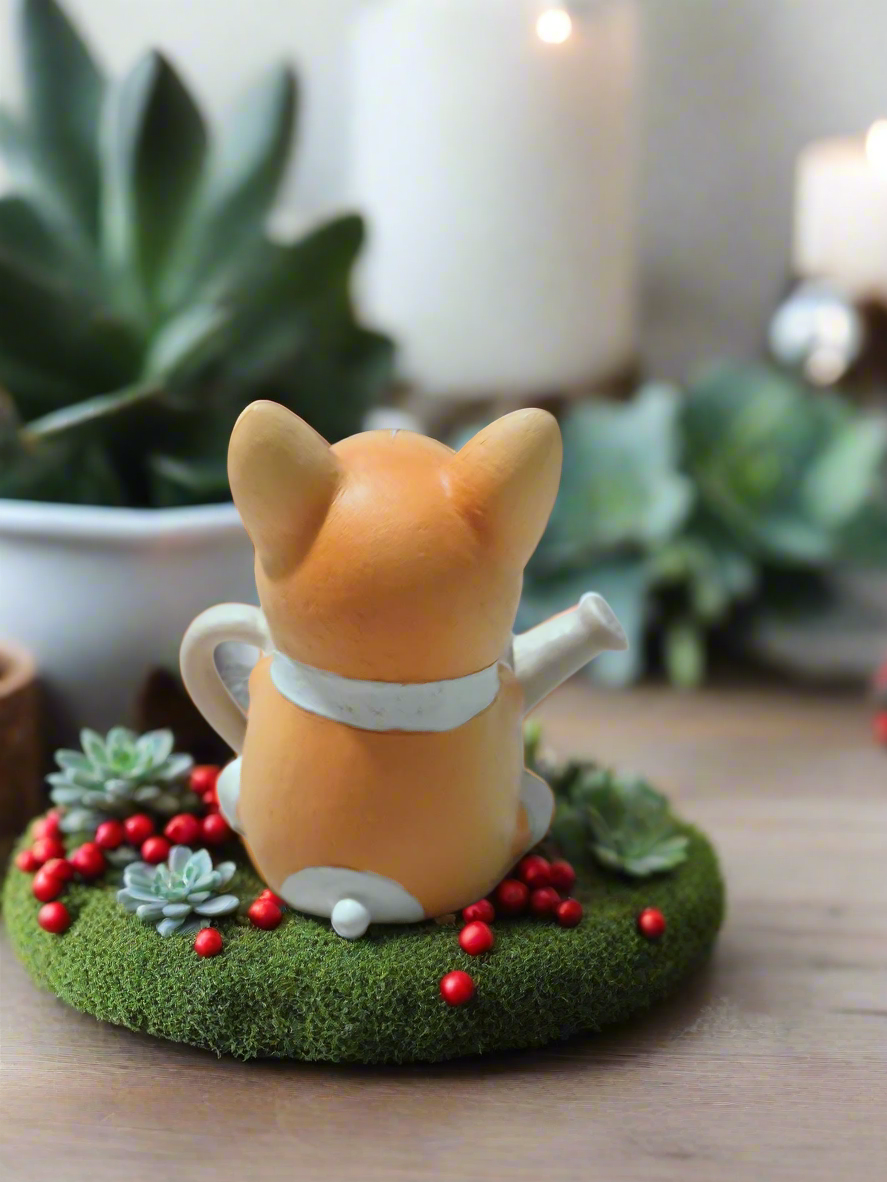 Succulent Charming Corgi - Echeveria Ice Green - SlowBloomGreens