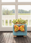 Succulent Festive Yellow Bow Square Planter – Tiscalatengo gorge sedum - SlowBloomGreens