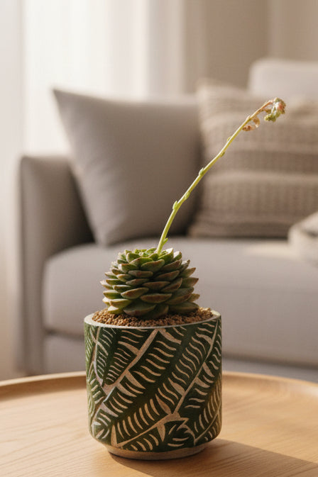 Succulent Whispering Leaves Planter – Echeveria 'Red Velvet'