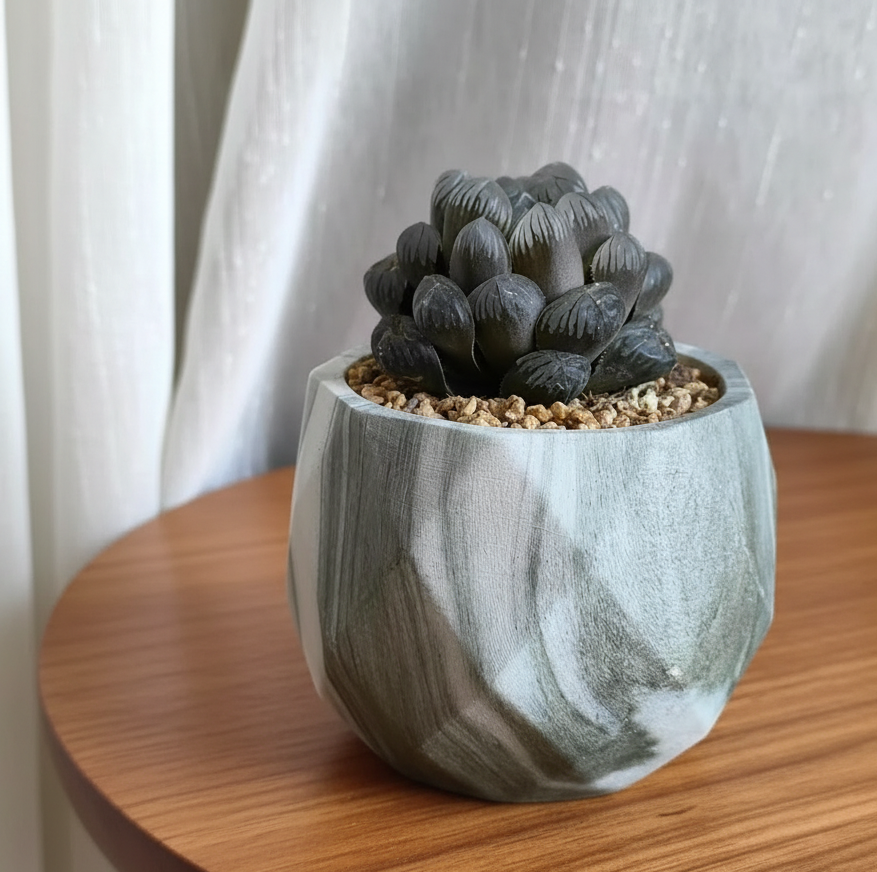 Succulent Classic Marble Earth Green Fern - SlowBloomGreens
