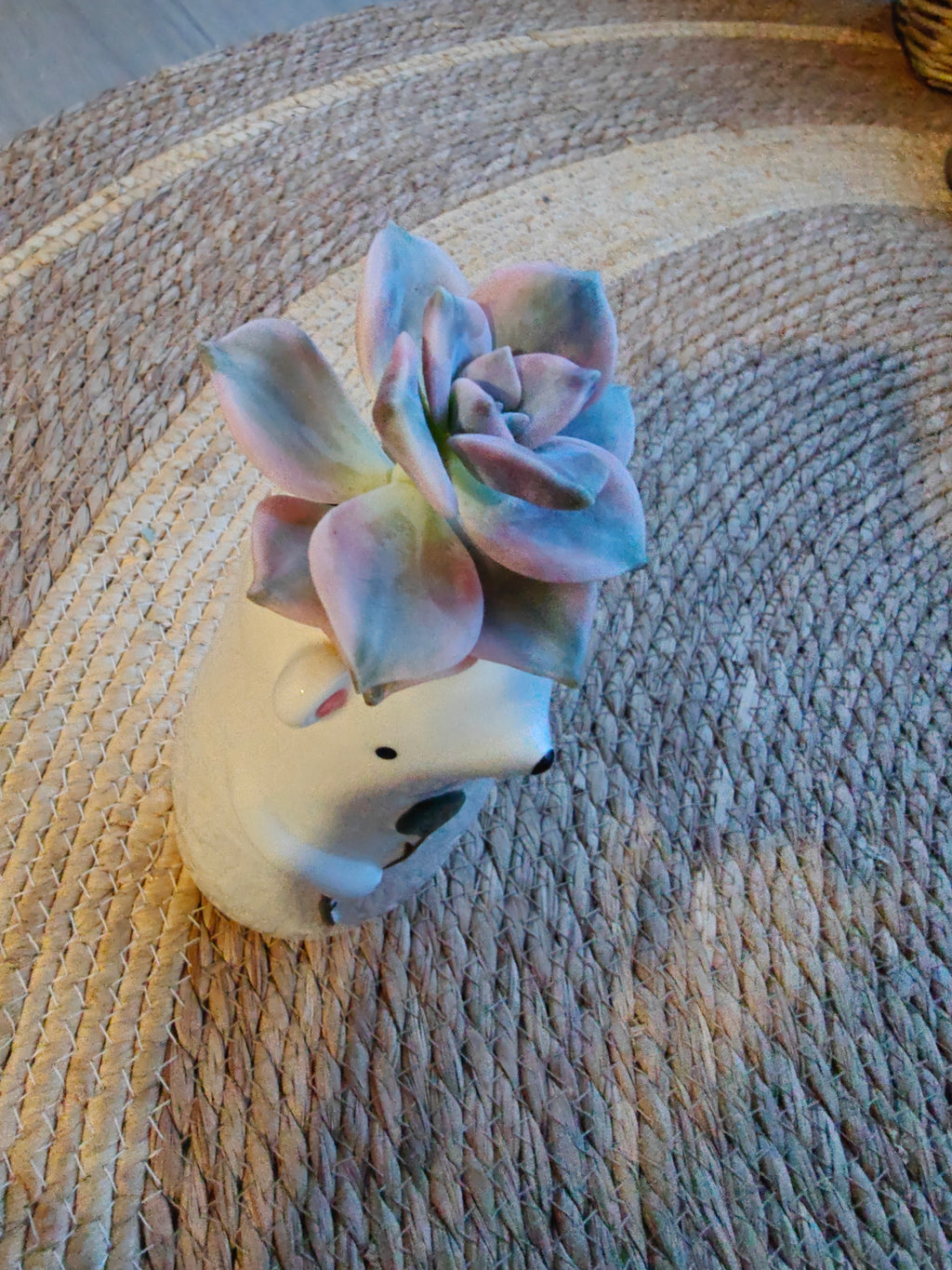 Succulent Polar Bear Bud Vase – Variegated Graptopetalum ‘Purple Delight’ - SlowBloomGreens