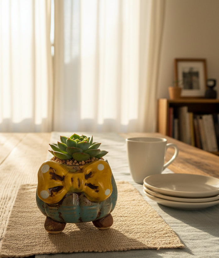 Succulent Blue Polka Dot Bow Planter – Echeveria Moranii