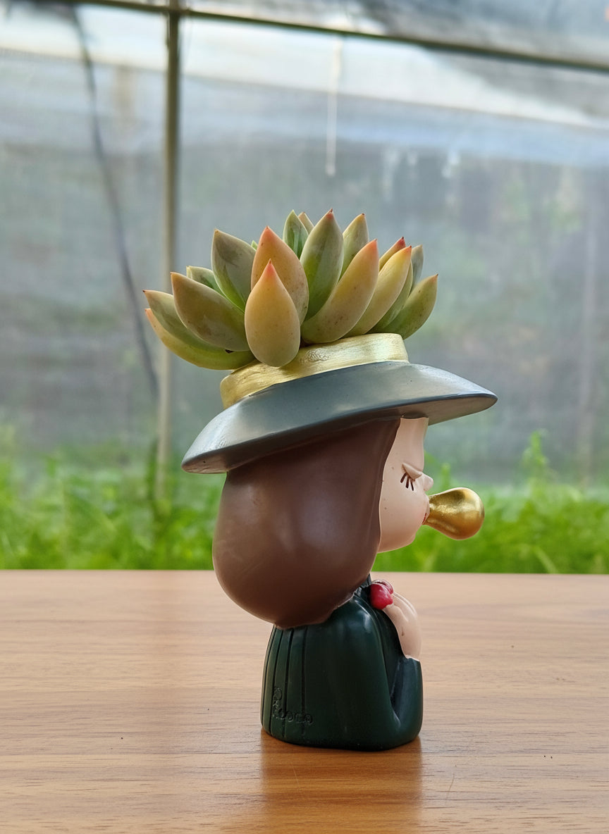 Succulent Girl Planter – Blowing Love with Pachyphytum 'Sky Beauty' - SlowBloomGreens