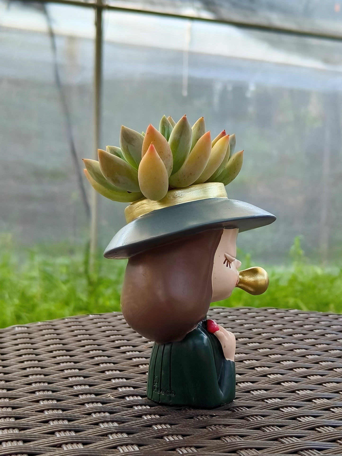 Succulent Girl Planter – Blowing Love with Pachyphytum 'Sky Beauty'