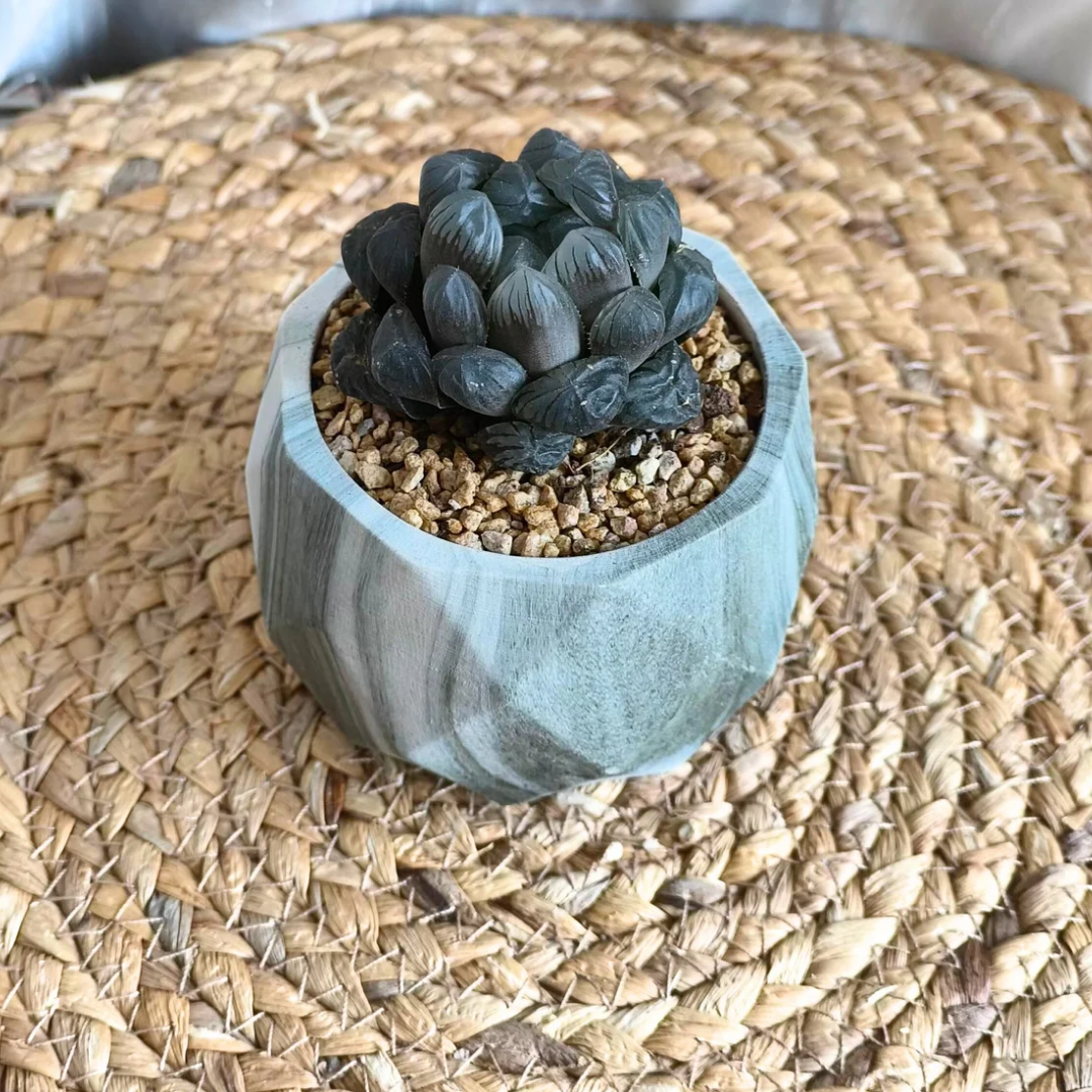 Succulent Classic Marble Earth Green Fern - SlowBloomGreens