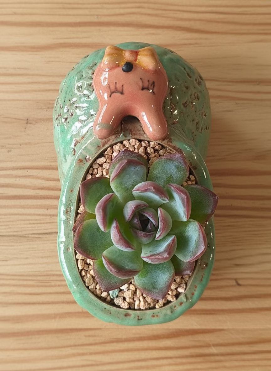 Succulent Mary Jane Charm Green Planter – Echeveria Suryeon